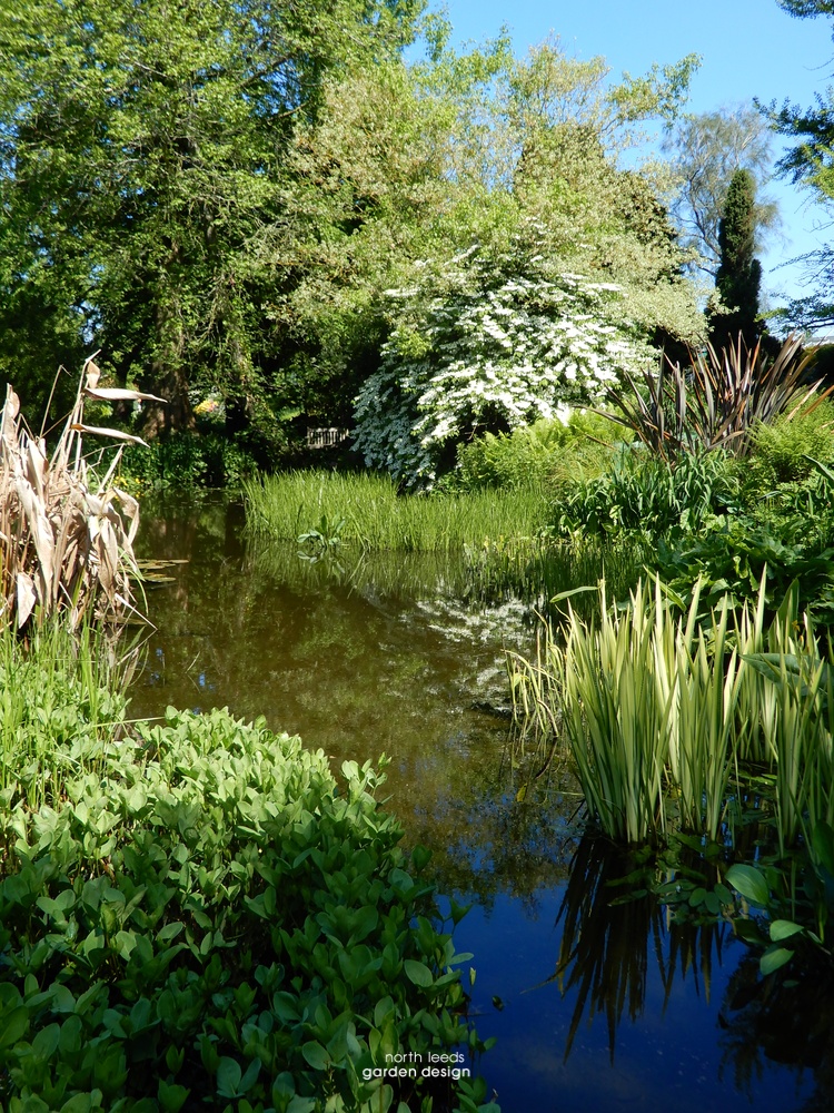 Beth Chatto the water garden