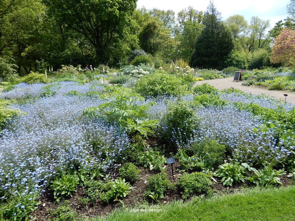 Beth Chatto reservoir garden