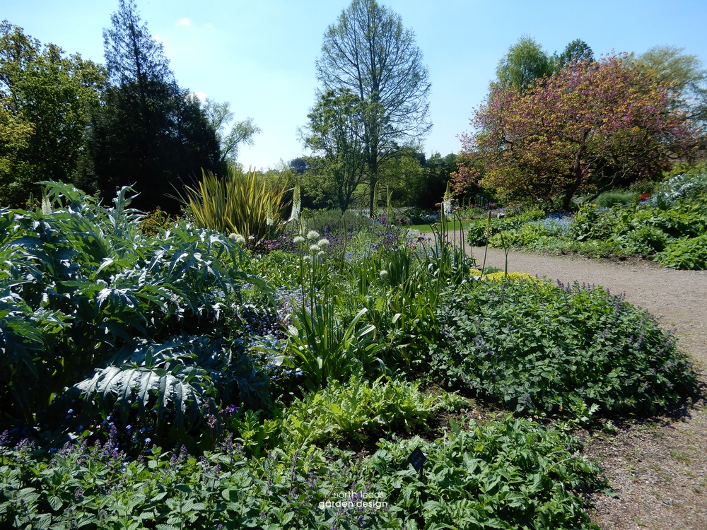 Beth Chatto reservoir garden