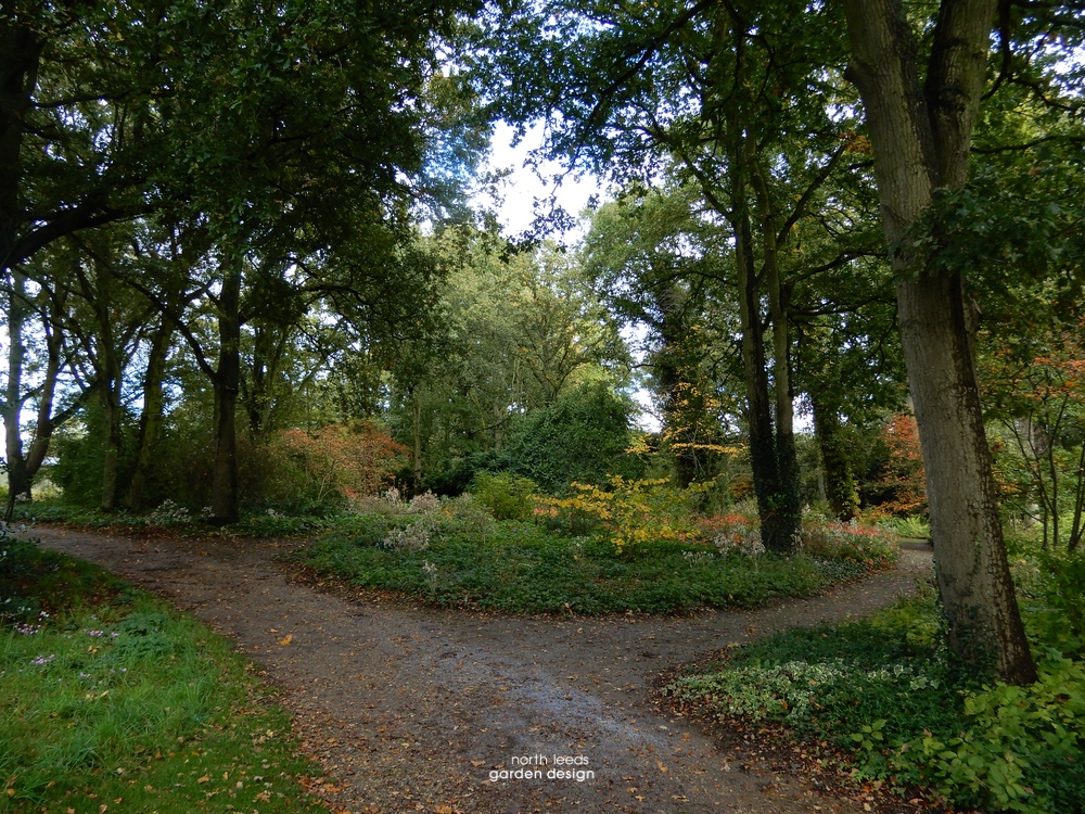 Beth Chatto woodland garden